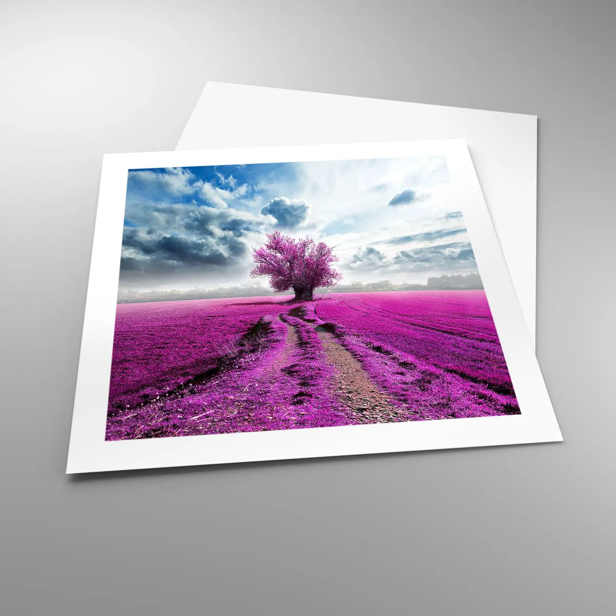 Poster - Câmpul cu iarbă neagră - 50x50 cm