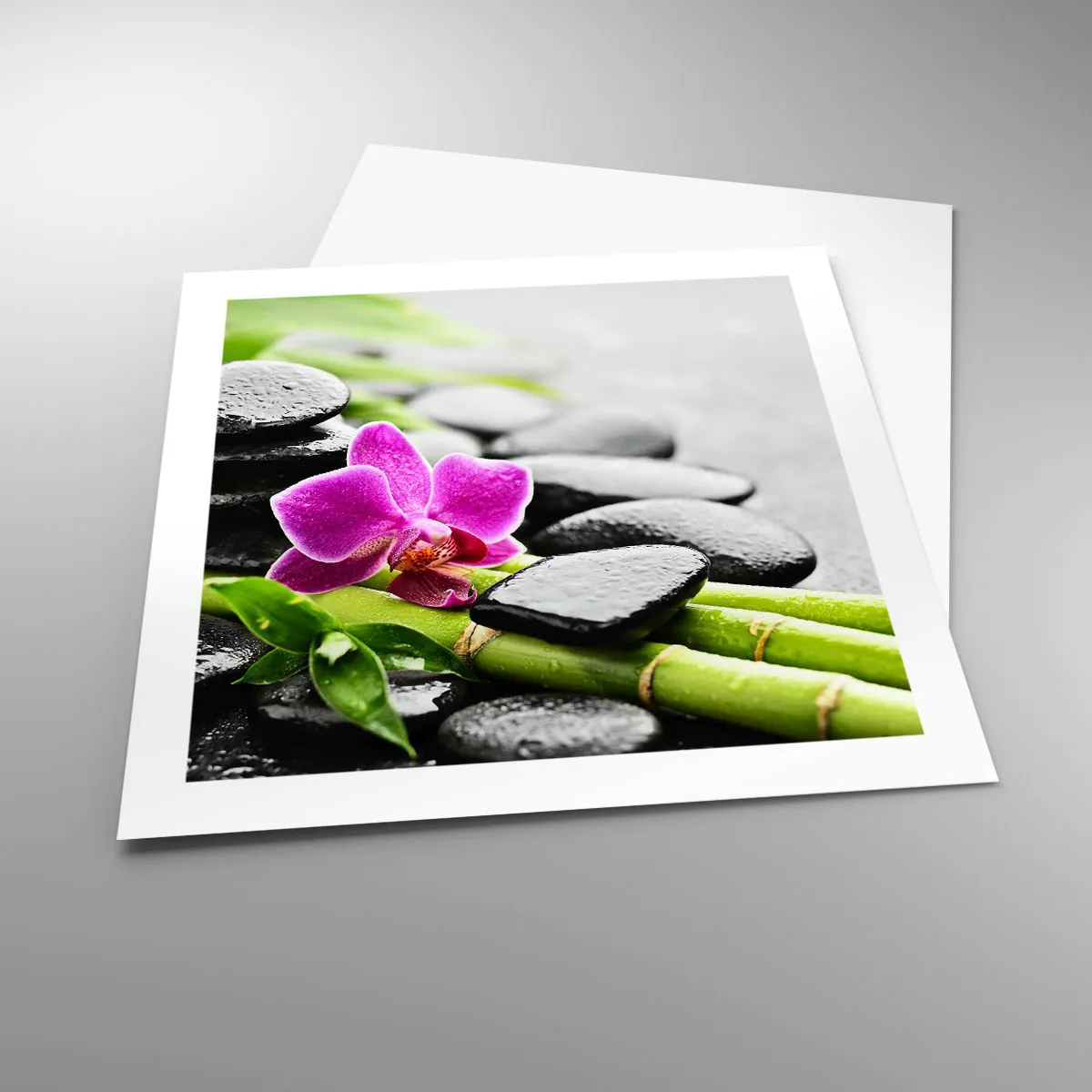 Poster - Într-un echilibru pașnic - 50x50 cm