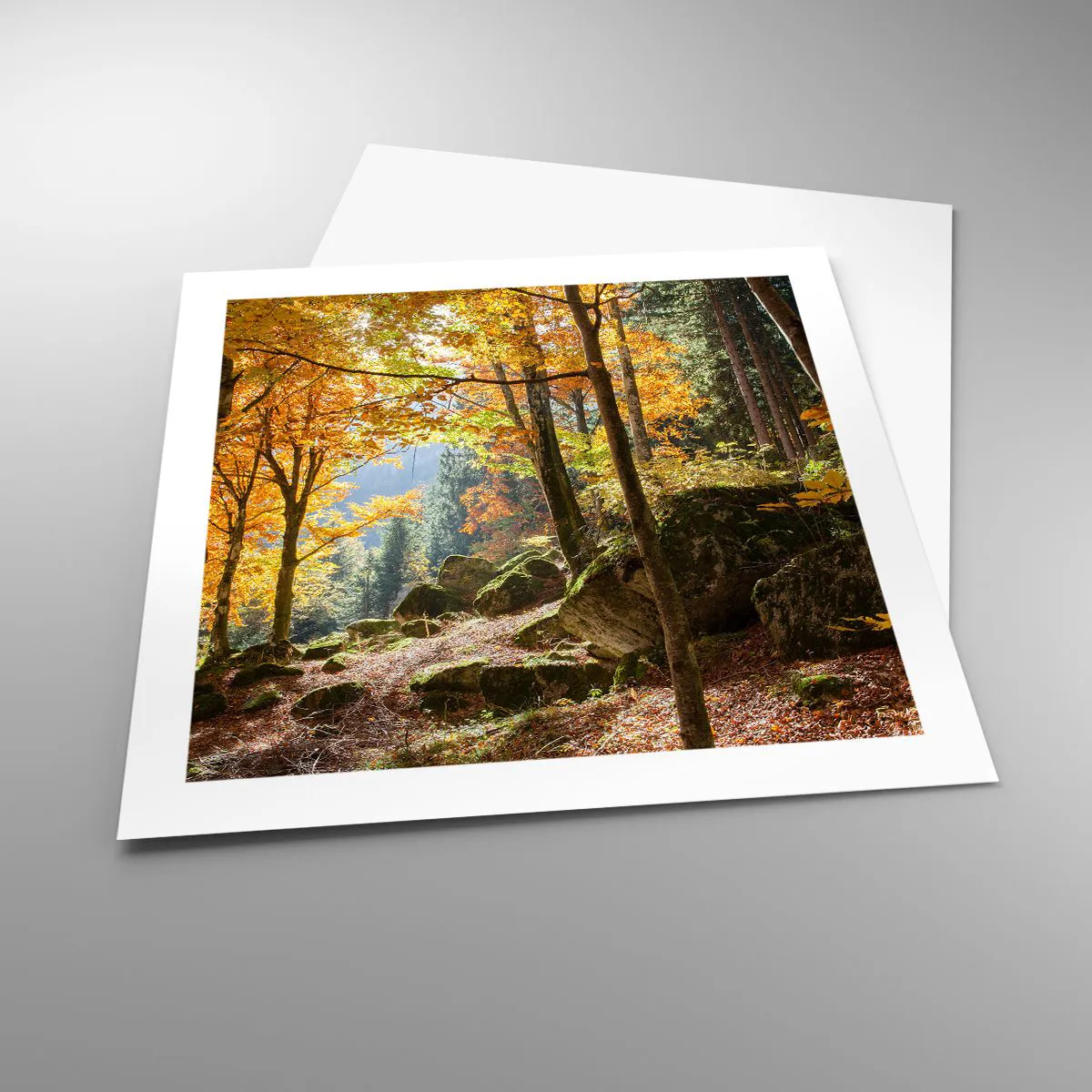 Poster - Time for Rest - 50x50 cm