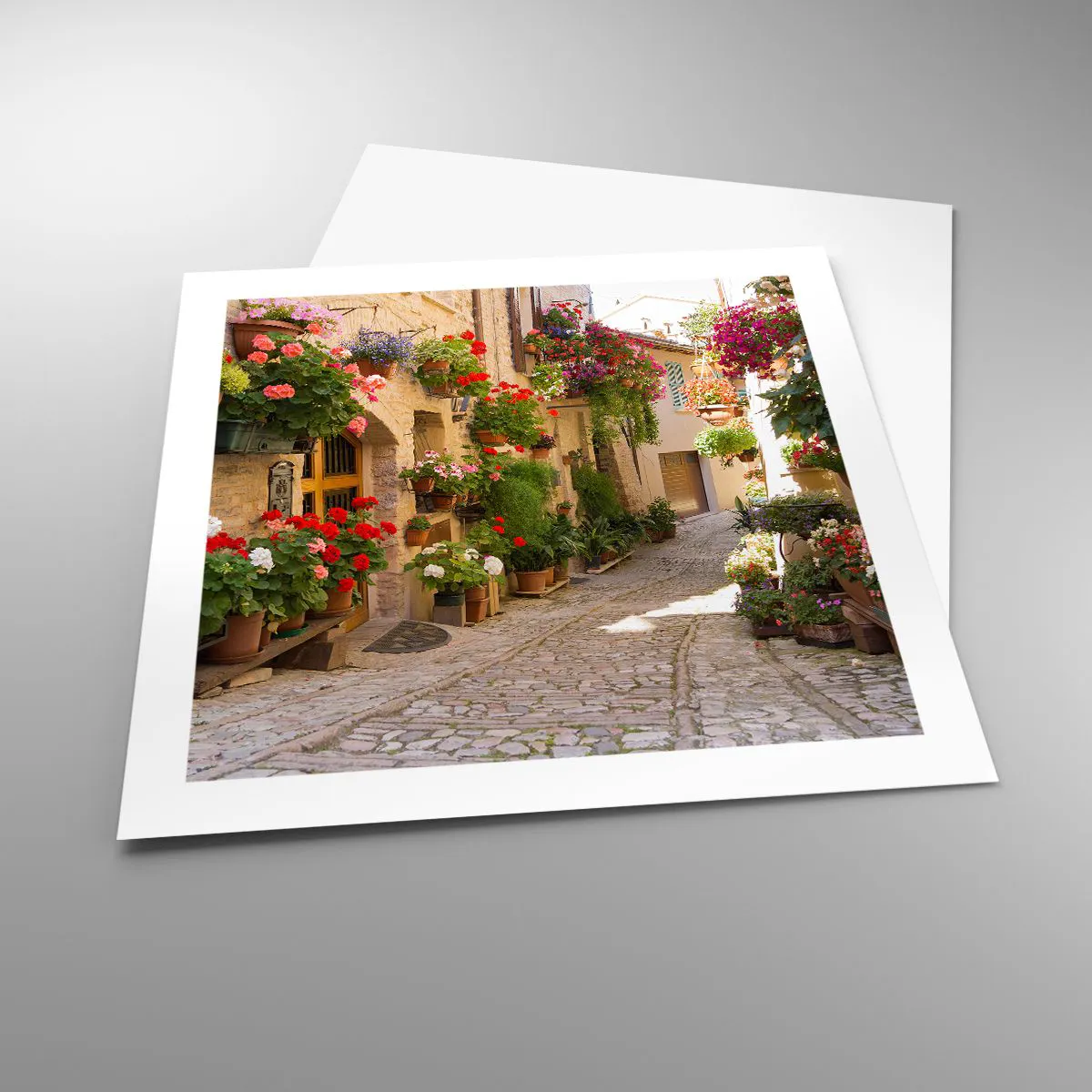 Plagát - V záplave kvetov - 50x50 cm