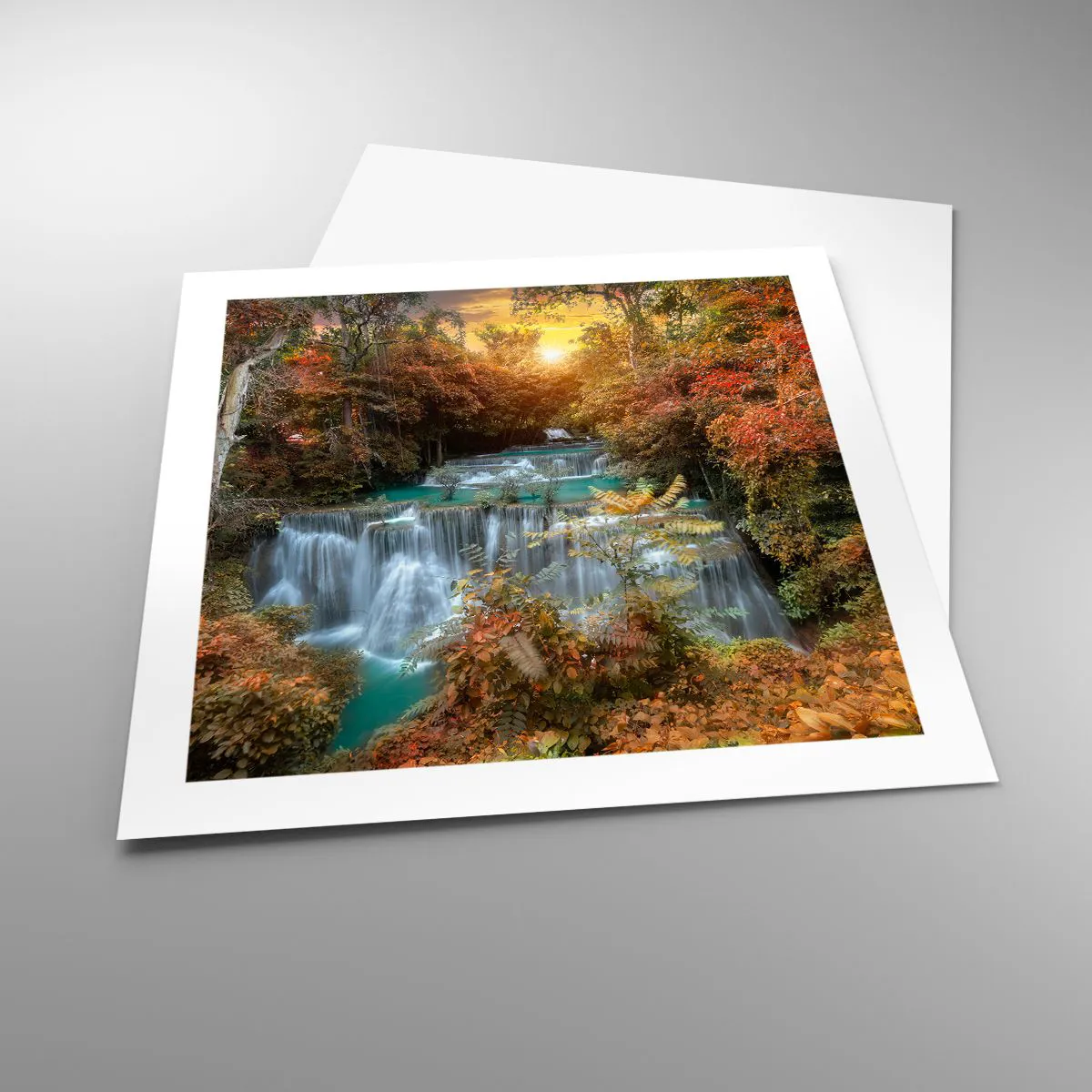 Poster - Versteckter Schatz des Waldes - 50x50 cm