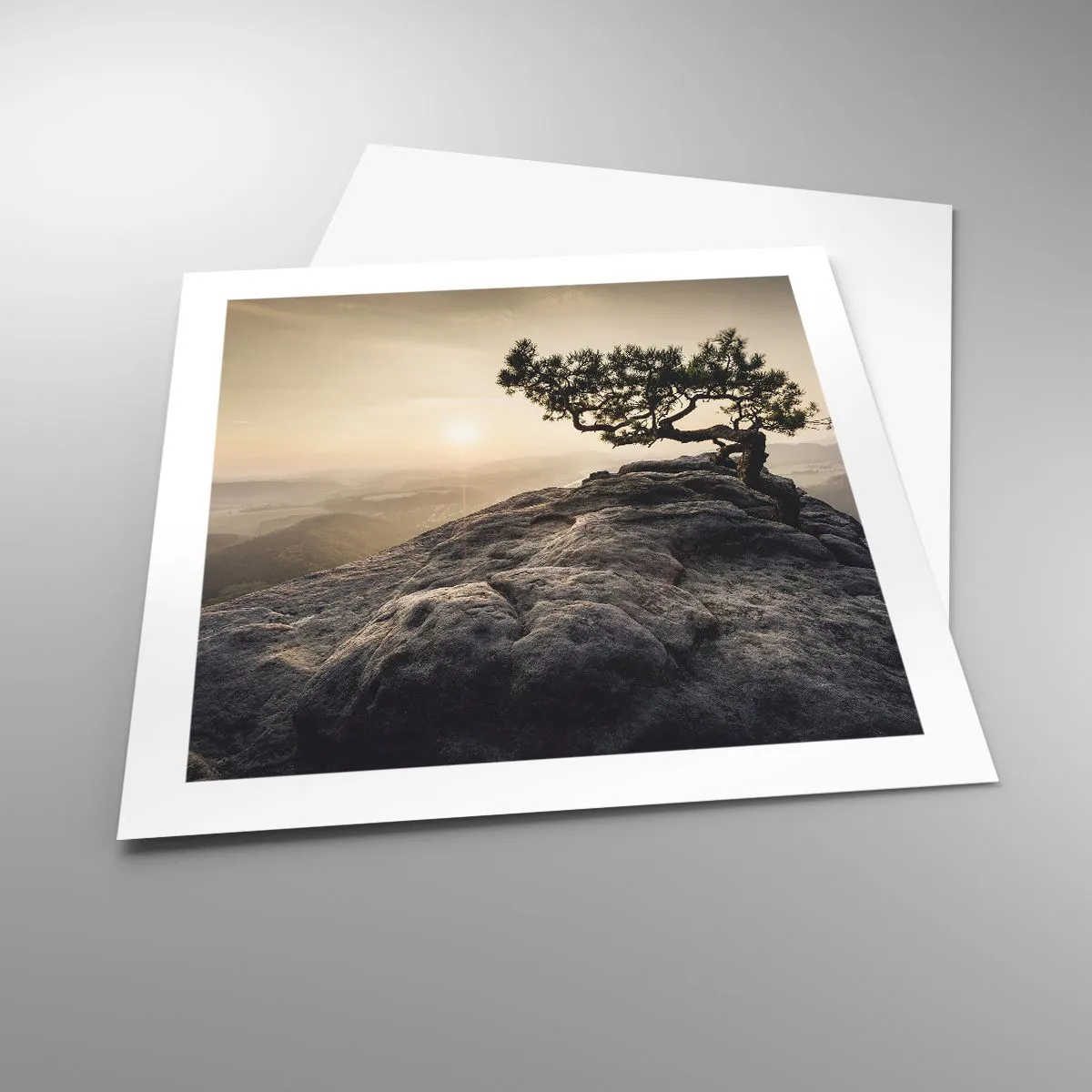 Poster - Het leven wint altijd - 50x50 cm