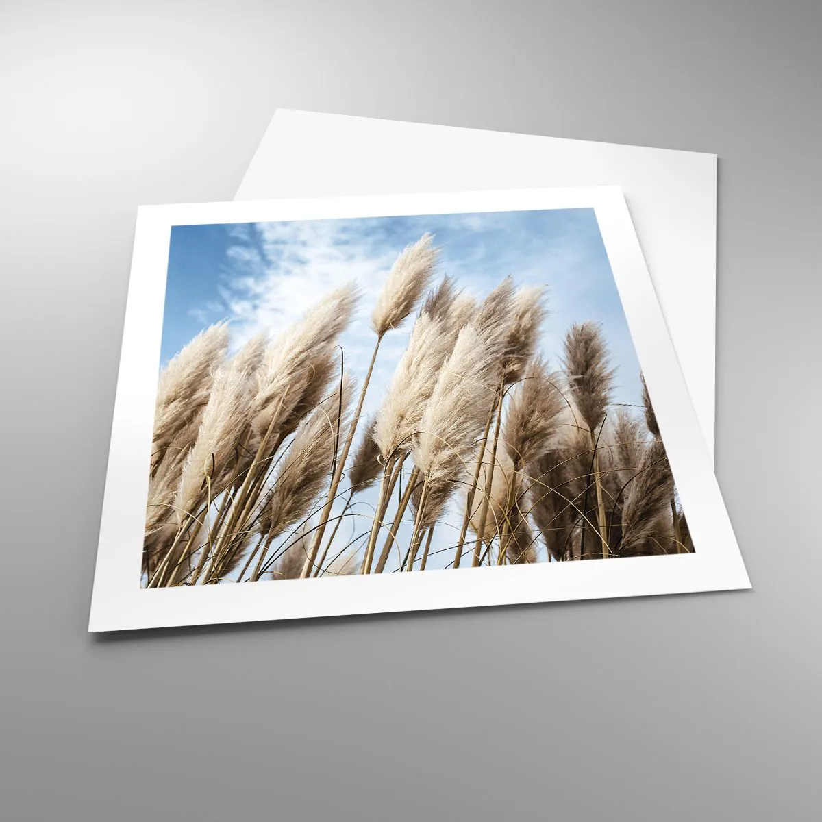 Plakát - Slunečné a větrné pohlazení - 50x50 cm