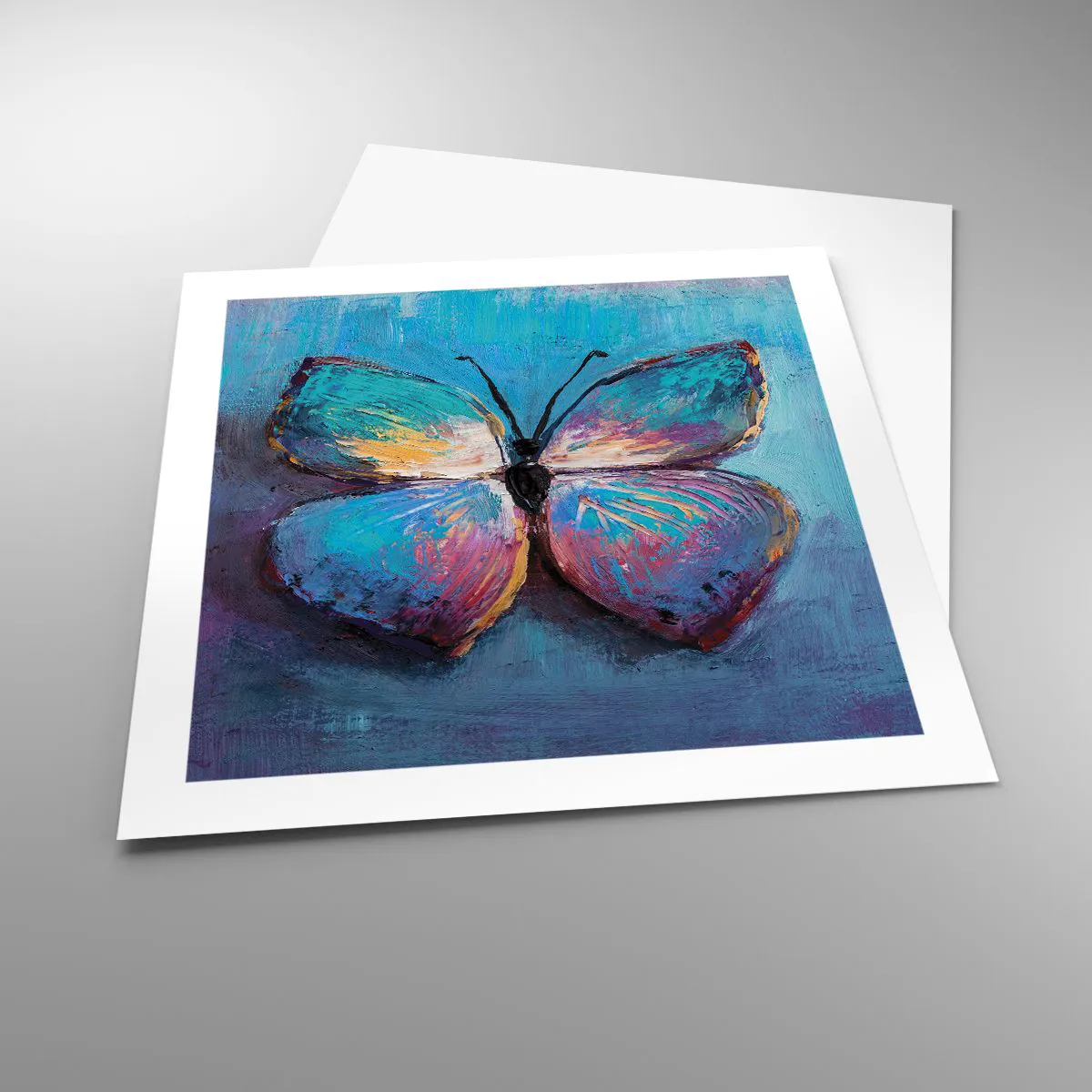 Affiche - Poster - Dans toute sa splendeur - 50x50 cm