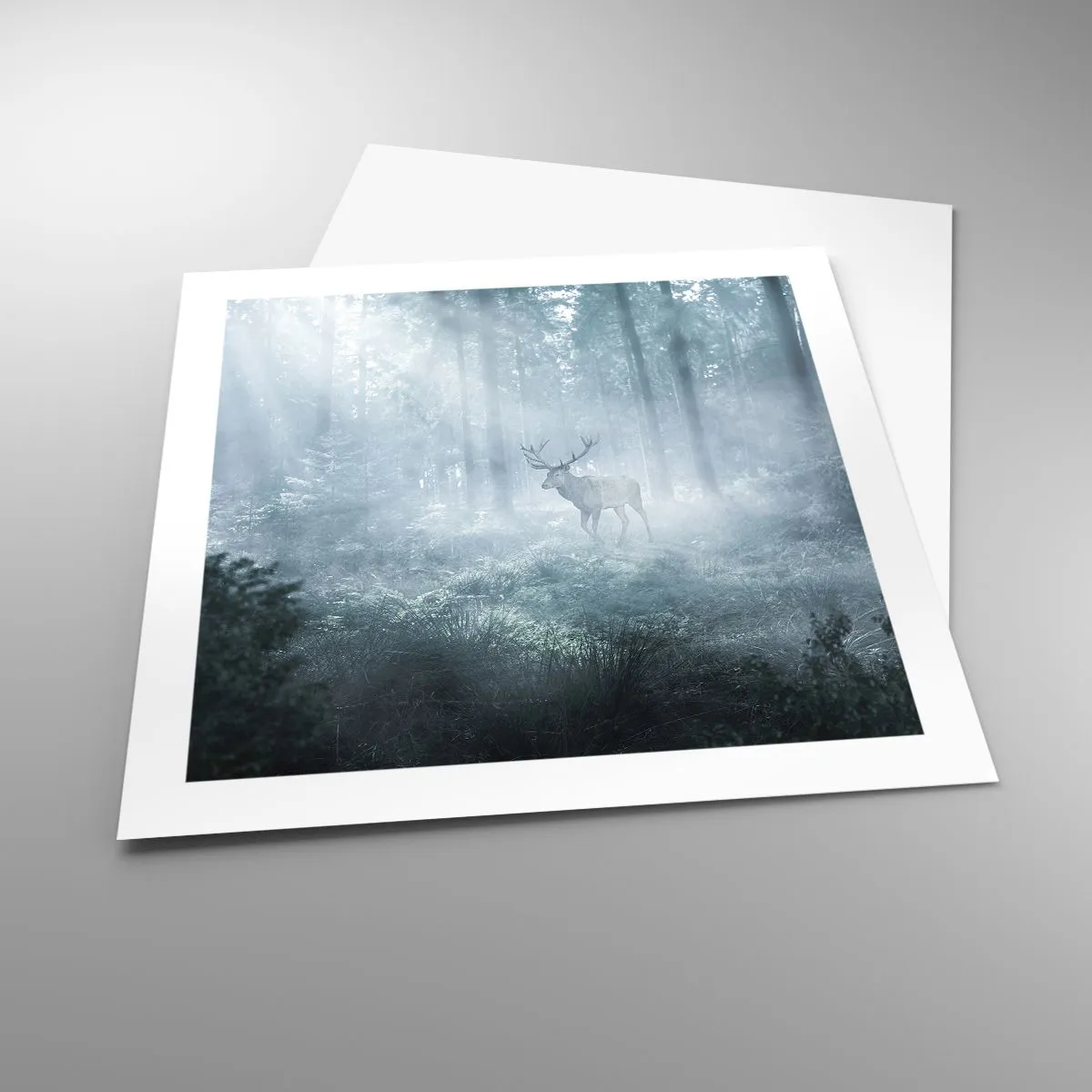 Poster - Morning Round of the Estate - 50x50 cm