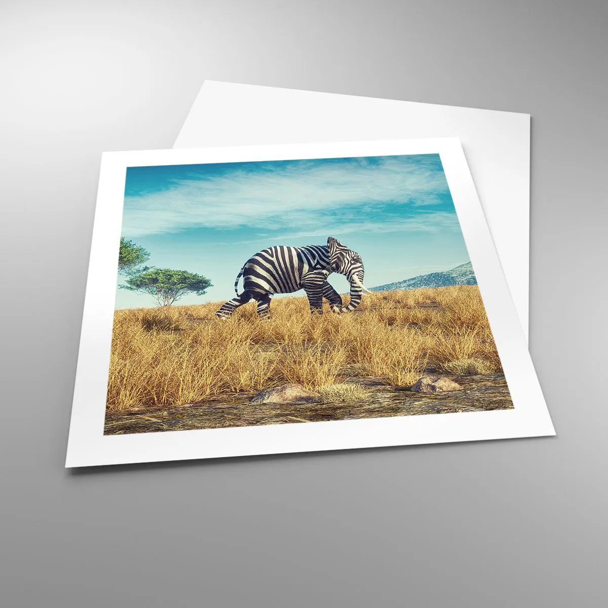 Poster - Grau ist nicht mehr in Mode - 50x50 cm