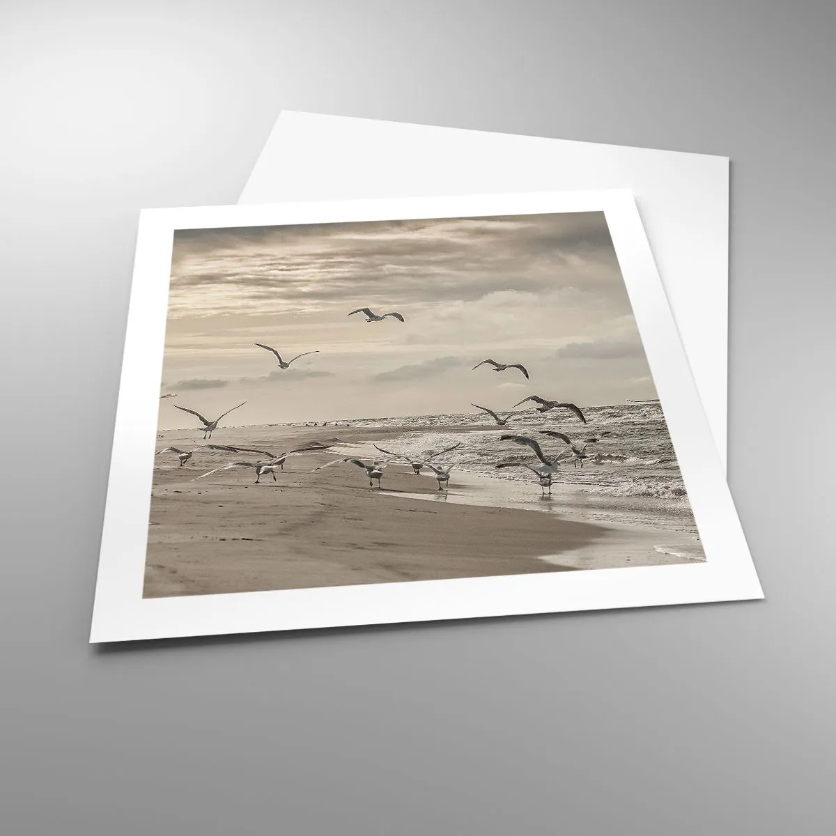 Pôster - O som do mar, o canto dos pássaros - 50x50 cm