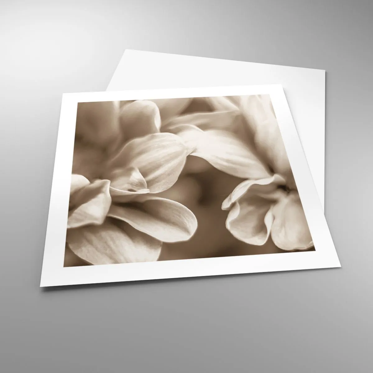 Affiche - Poster - Doux comme un sourire - 50x50 cm