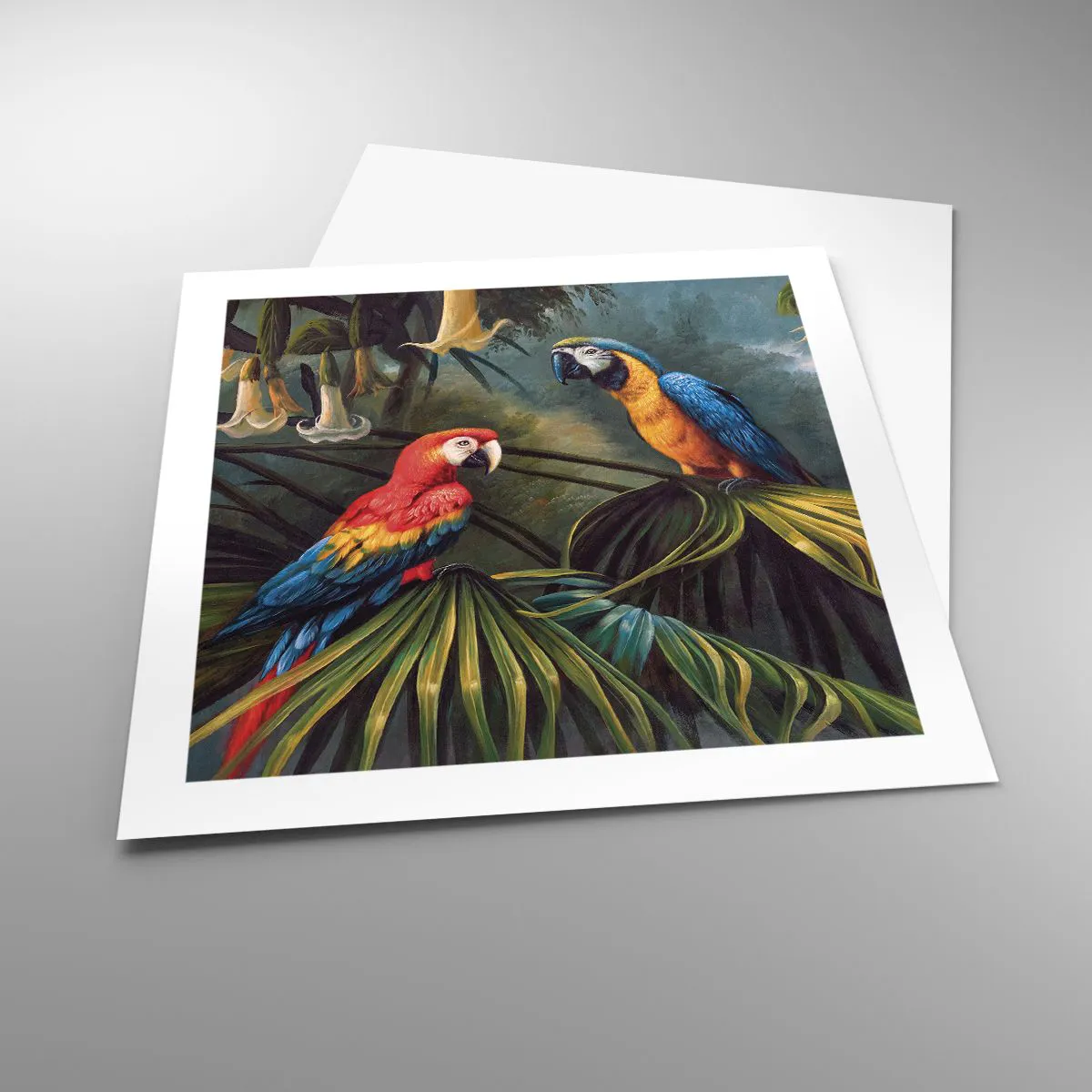 Poszter - Romantika a trópusokon - 50x50 cm