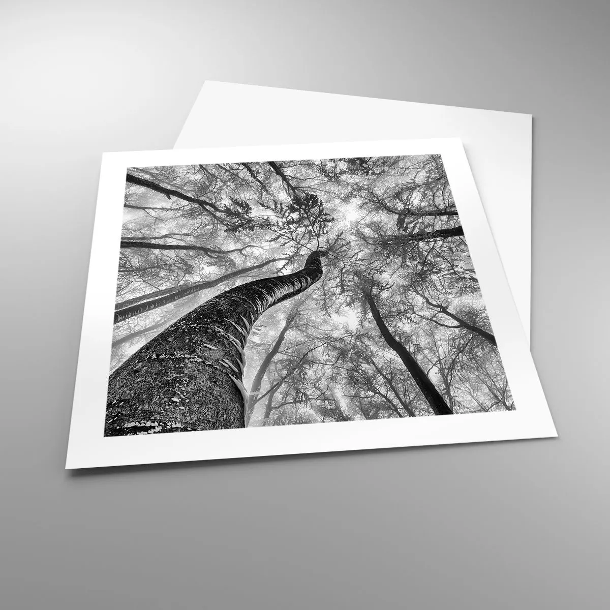 Plakat - Kapløb mod lyset - 50x50 cm