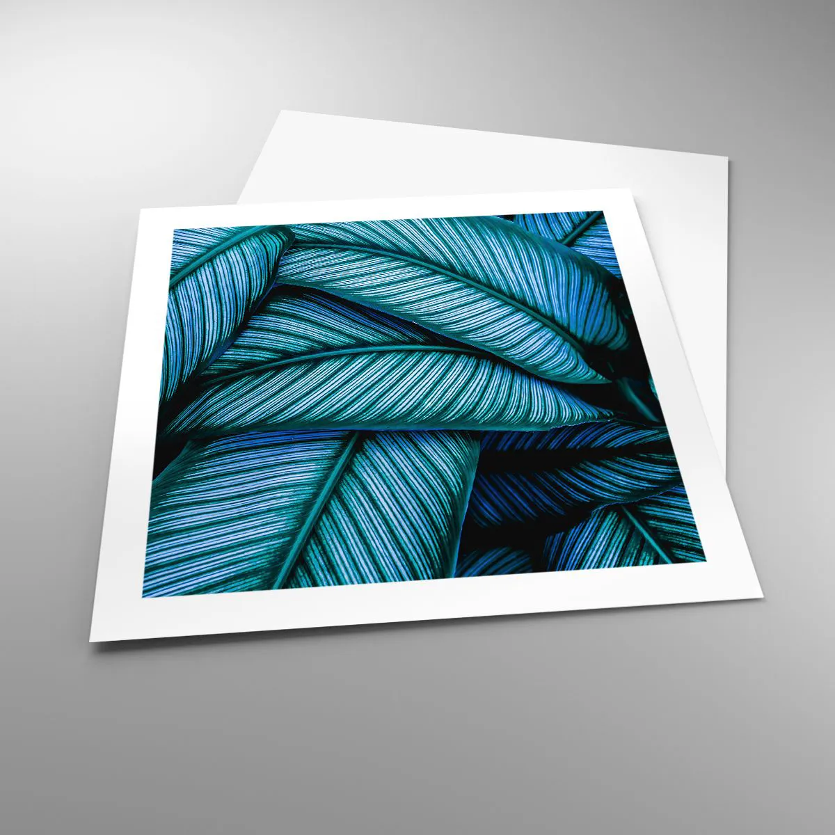 Poster - Lebenslinien - 50x50 cm