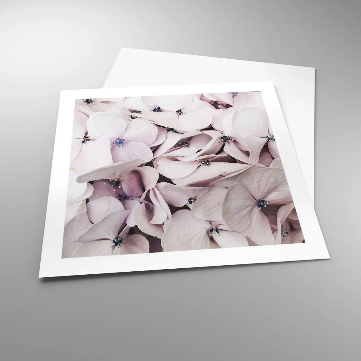 Poster - In einer Blumenflut - 50x50 cm