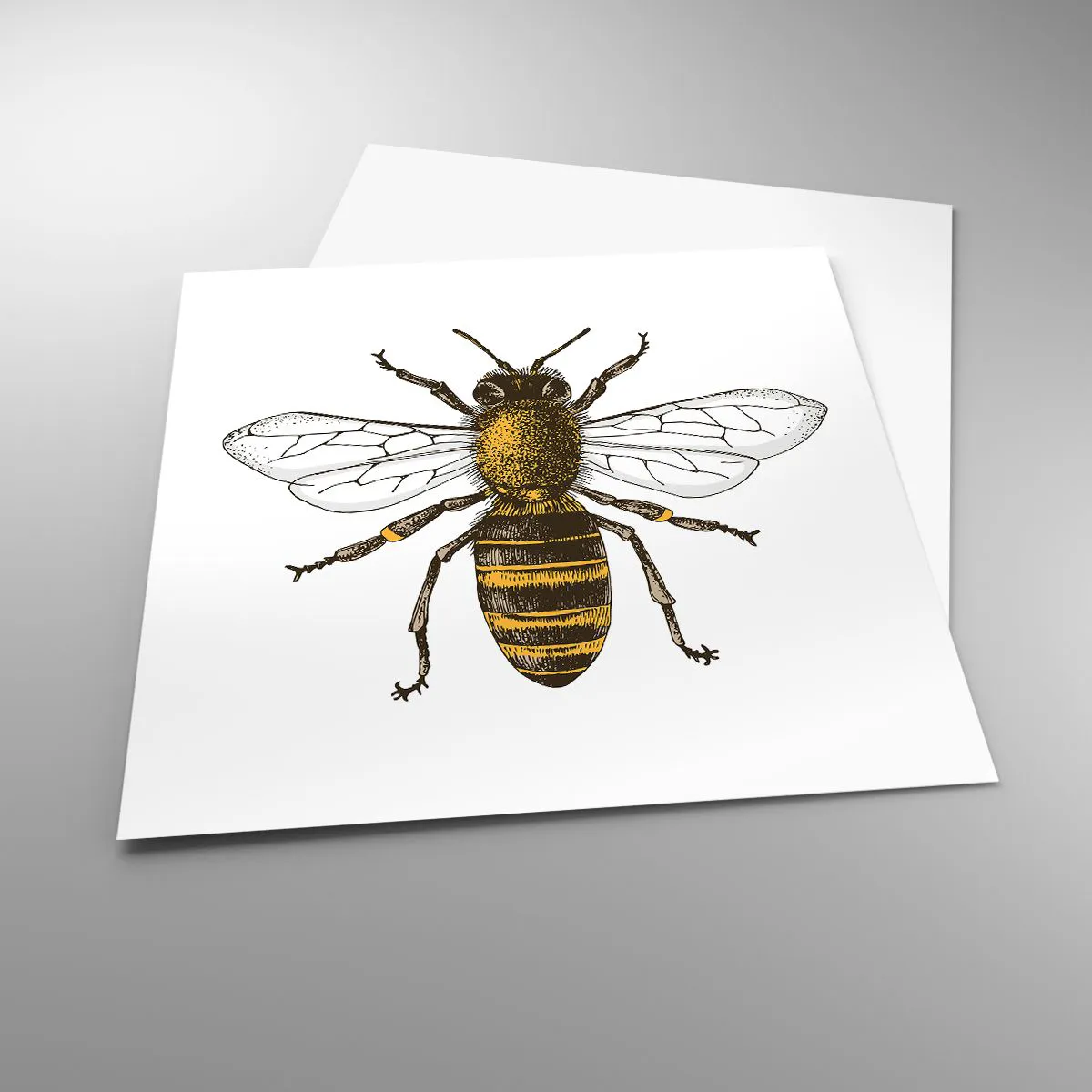 Plakát - Krásná a dobrá - 50x50 cm