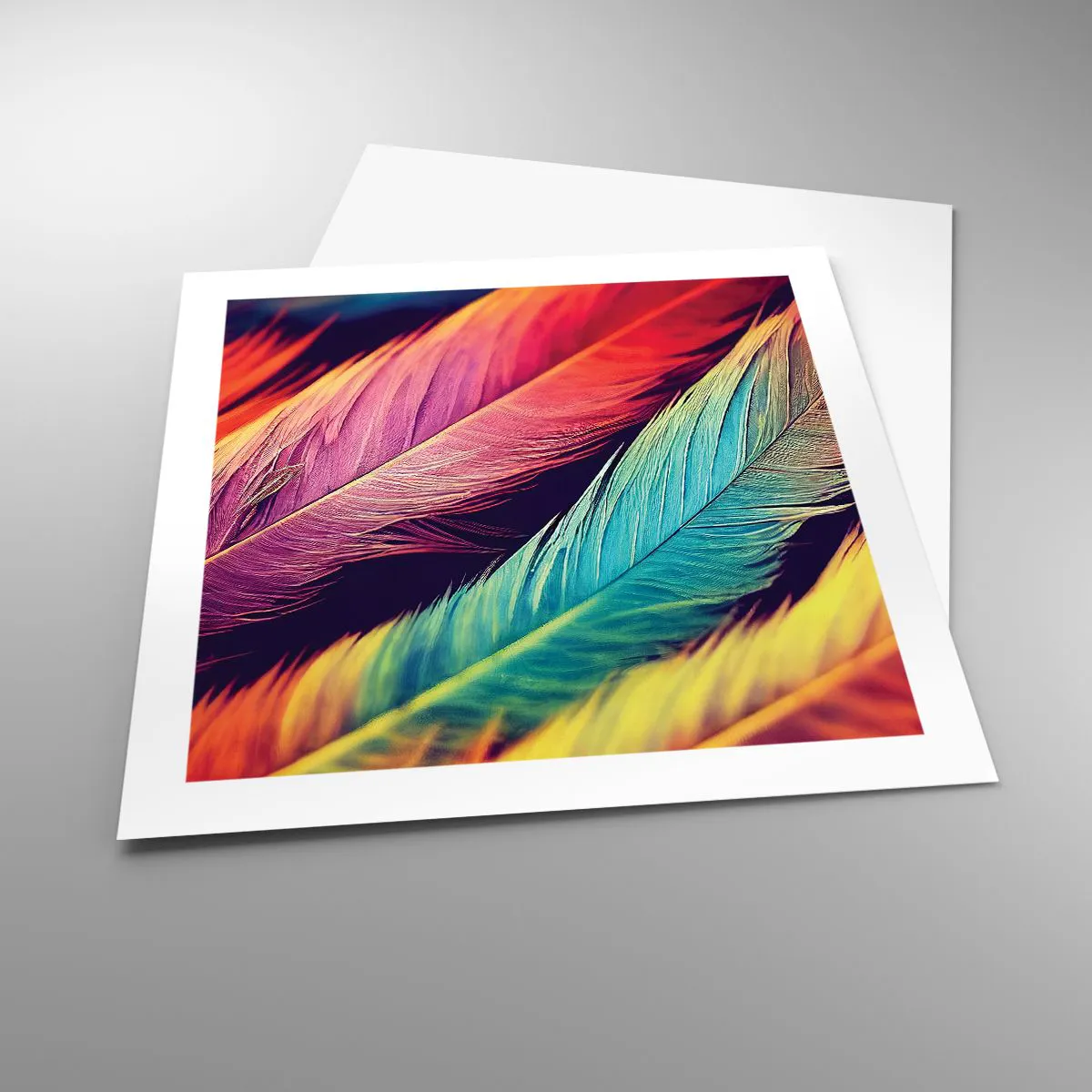 Affiche - Poster - Arc-en-ciel de plumes - 50x50 cm