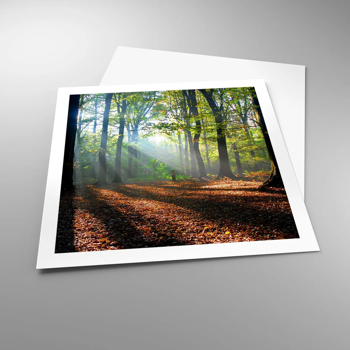 Poszter - Ragyogások és árnyékok - 60x60 cm