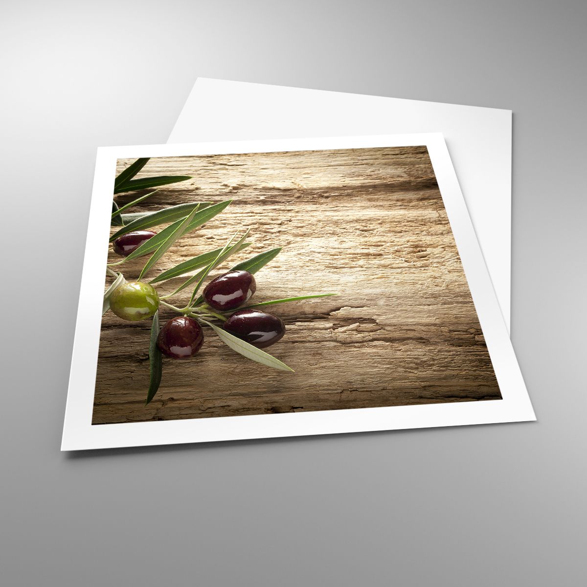 Affiche Branche D'Olivier, Affiche La Nature, Affiche Olives, Affiche La Gastronomie, Affiche Cuisine