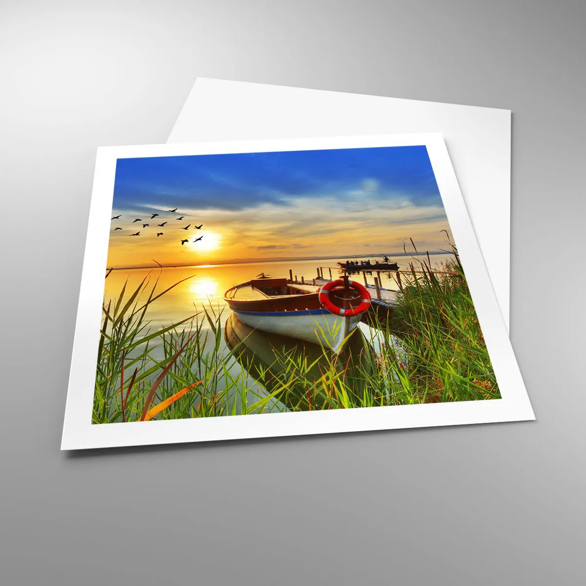 Poszter - A kormoránok már repülnek el - 60x60 cm