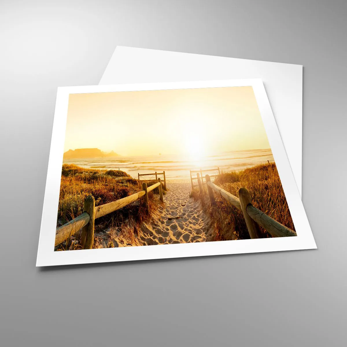 Poster - Attraverso la duna, verso il sole - 60x60 cm