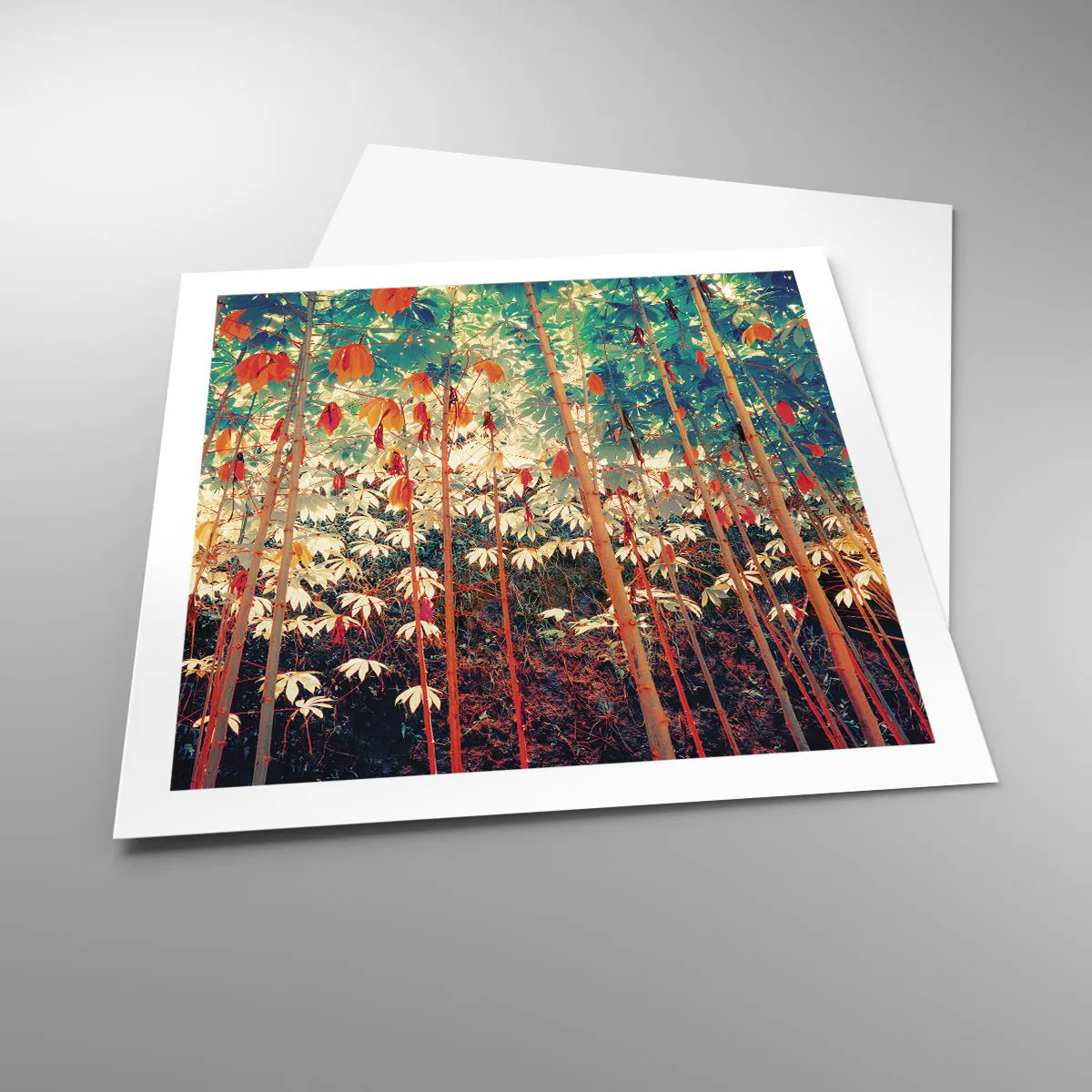 Poszter - A levelek titkos élete - 60x60 cm