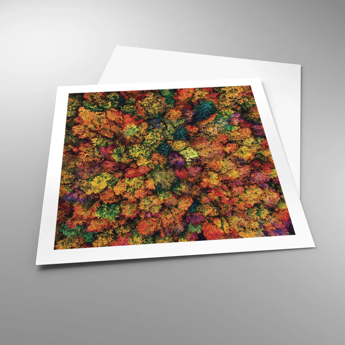 Poster - Blumenstrauß aus Herbstbäumen - 60x60 cm