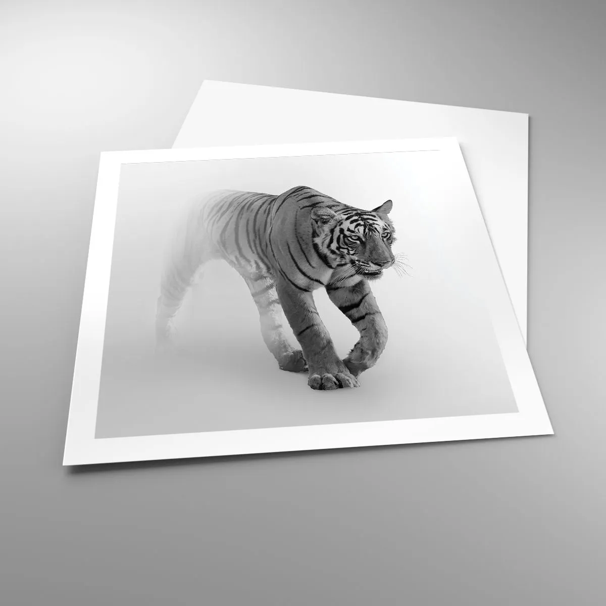 Póster - Siempre alerta entre la niebla - 60x60 cm