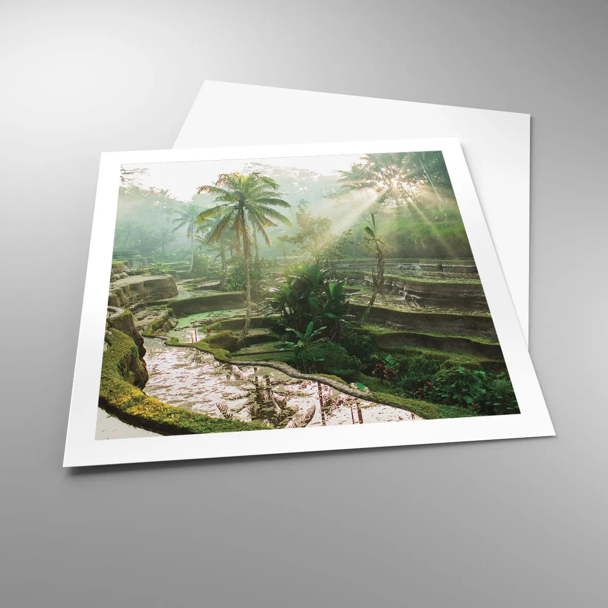 Poszter - Felnőni a napon - 60x60 cm