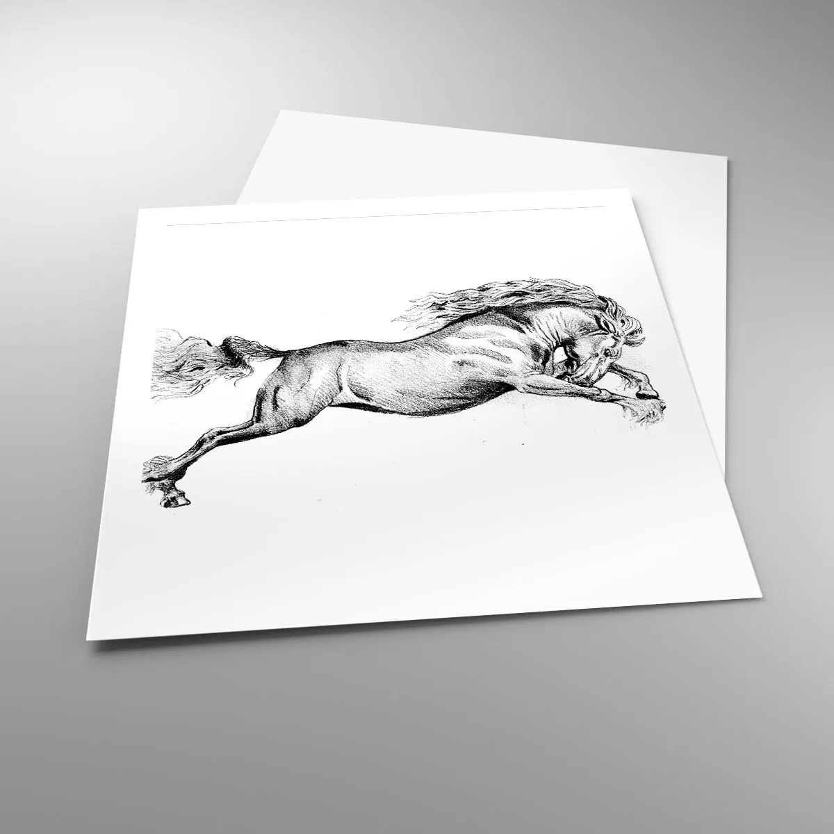 Affiche - Poster - Immortalisé au galop - 60x60 cm