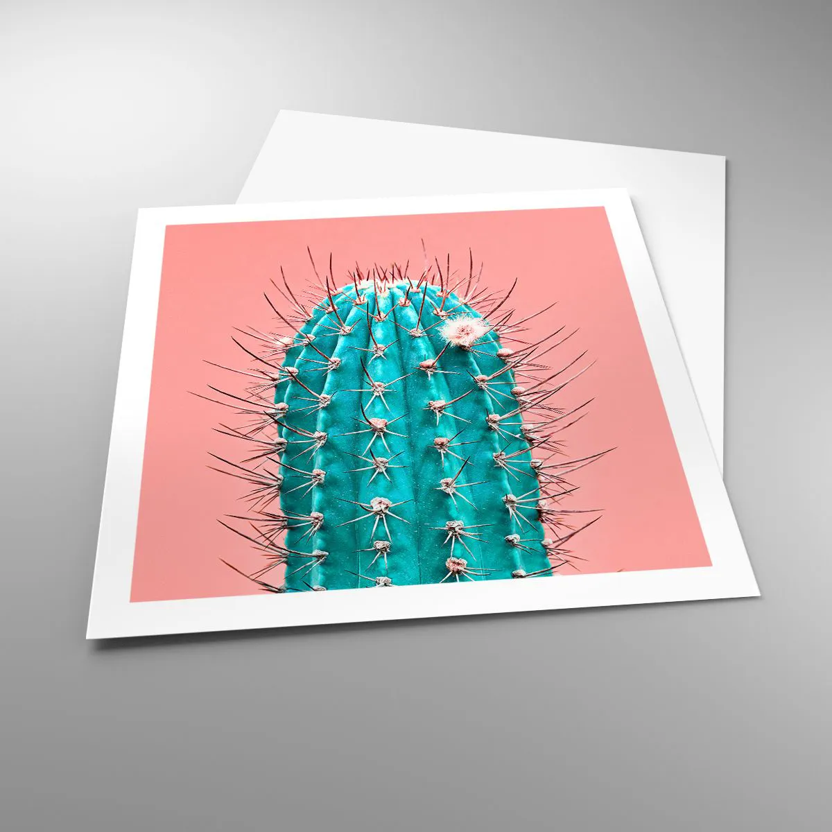 Affiche - Poster - Juste regarde - 60x60 cm