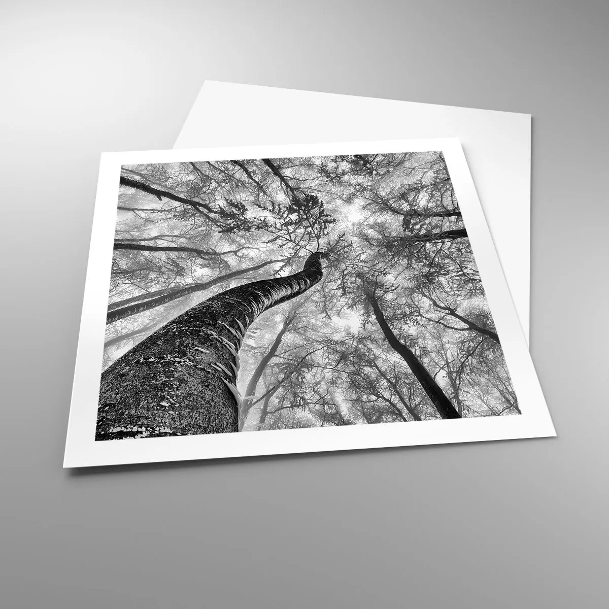 Plakat - Kapløb mod lyset - 60x60 cm