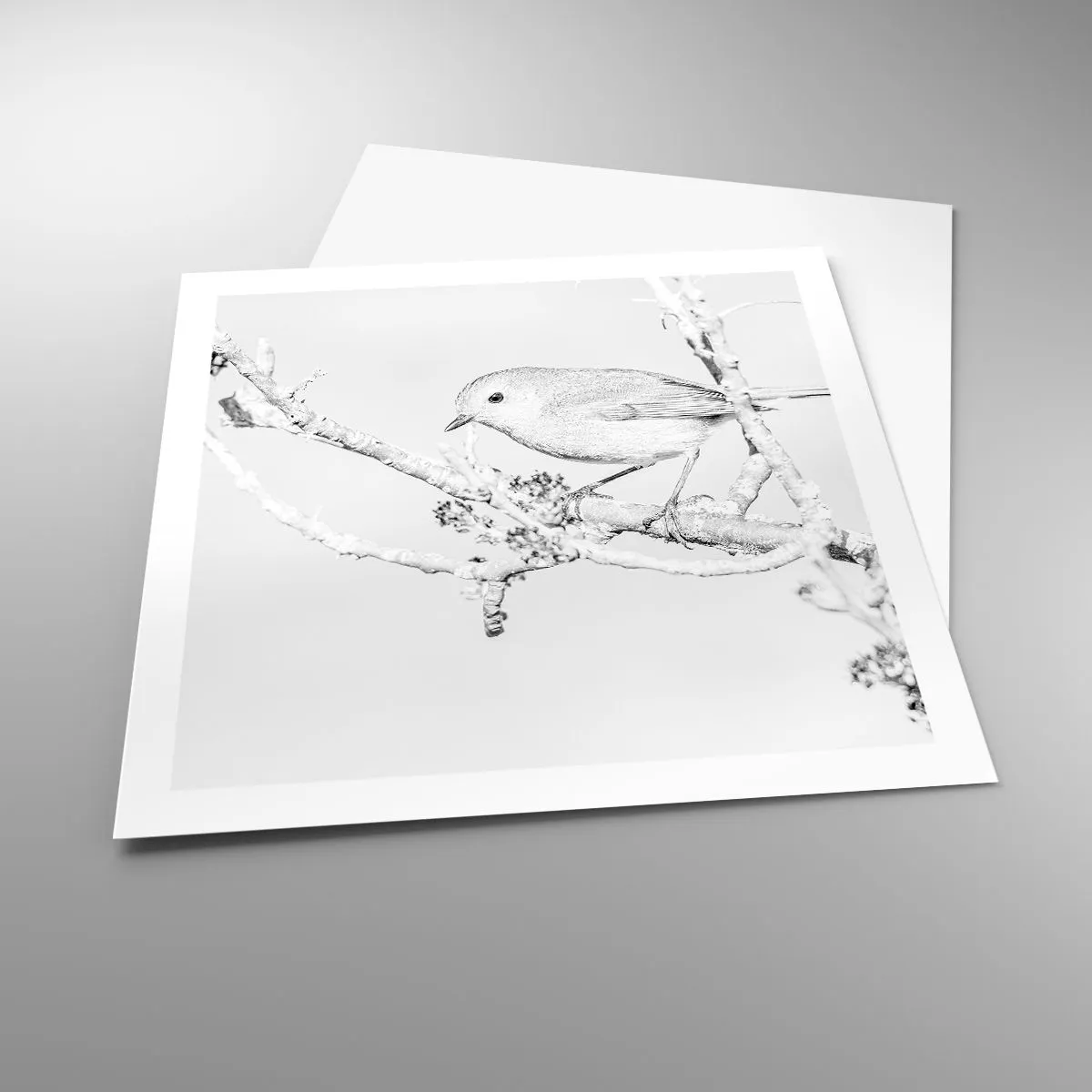 Poster - Winterochtend - 60x60 cm