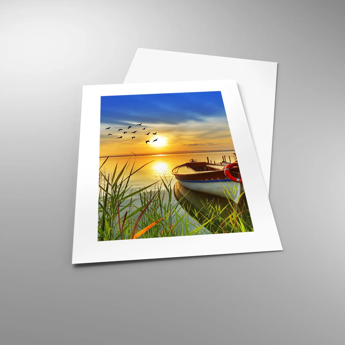 Poszter - A kormoránok már repülnek el - 30x40 cm