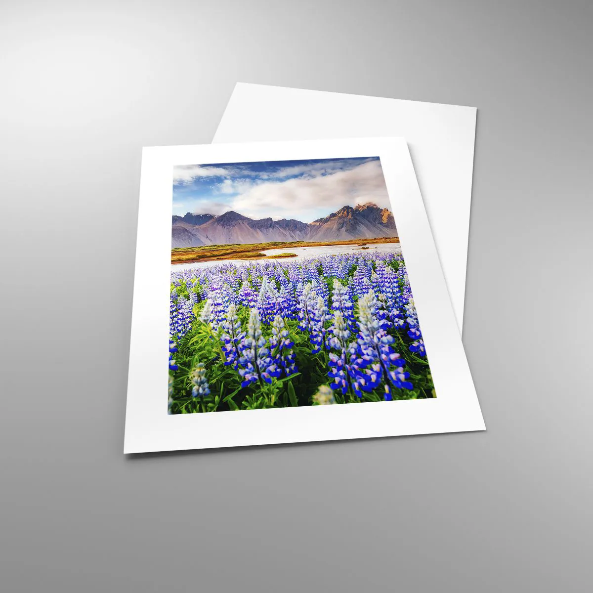 Poster - Kracht en soberheid naast zachtheid - 30x40 cm