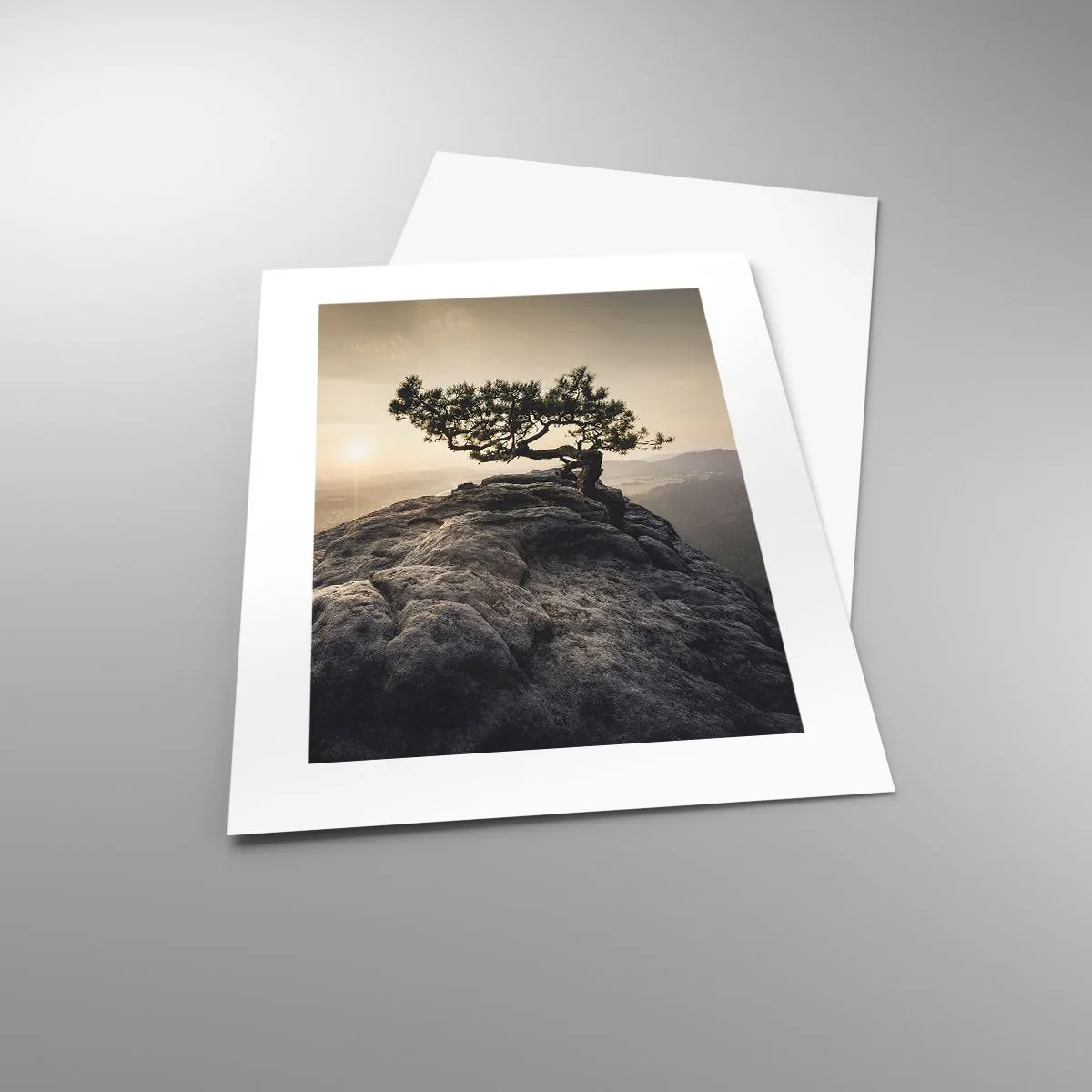 Plakat - Życie zawsze zwycięża - 30x40 cm