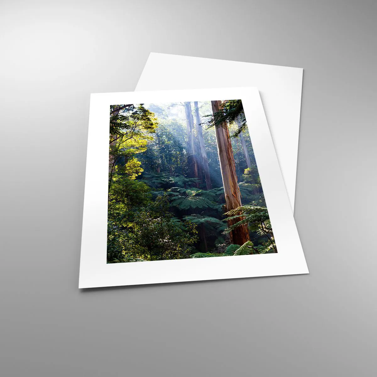 Plakát - Povídka lesa - 30x40 cm