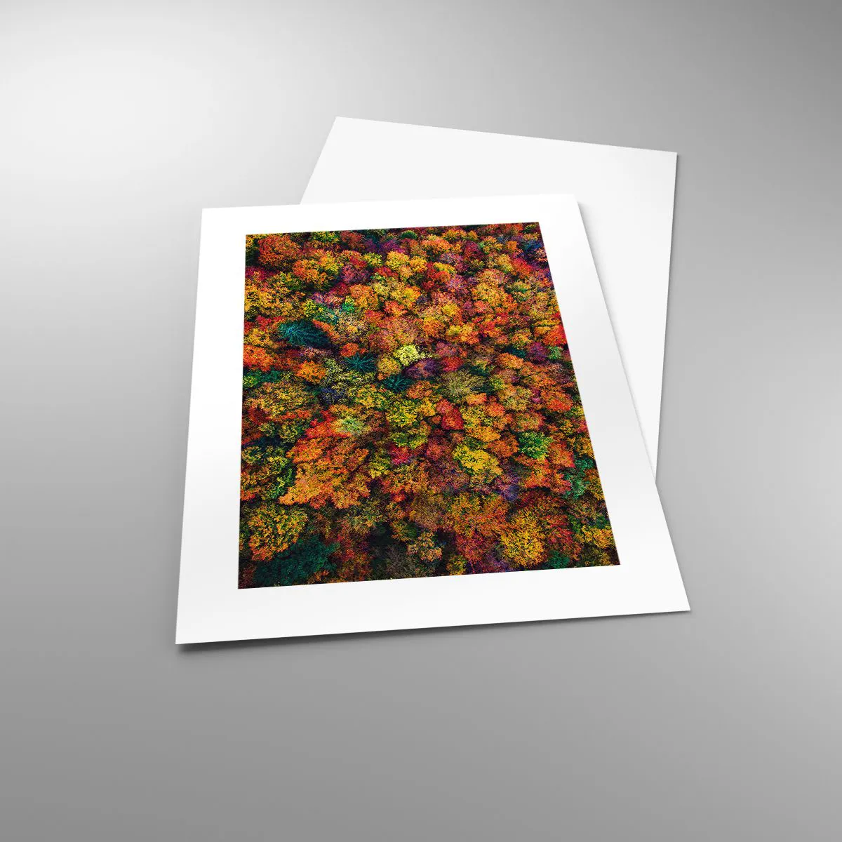 Plakát - Kytice podzimních stromů - 30x40 cm