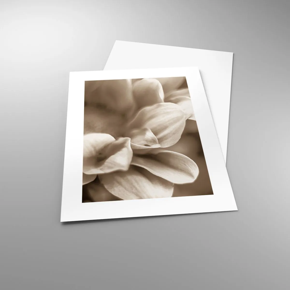 Affiche - Poster - Doux comme un sourire - 30x40 cm