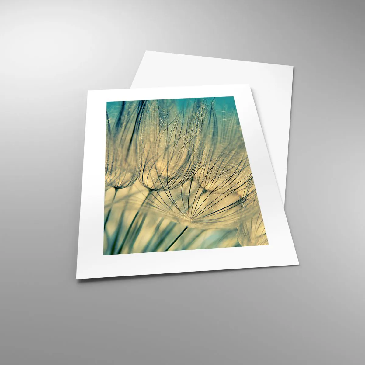 Affiche - Poster - En attente du vent - 30x40 cm