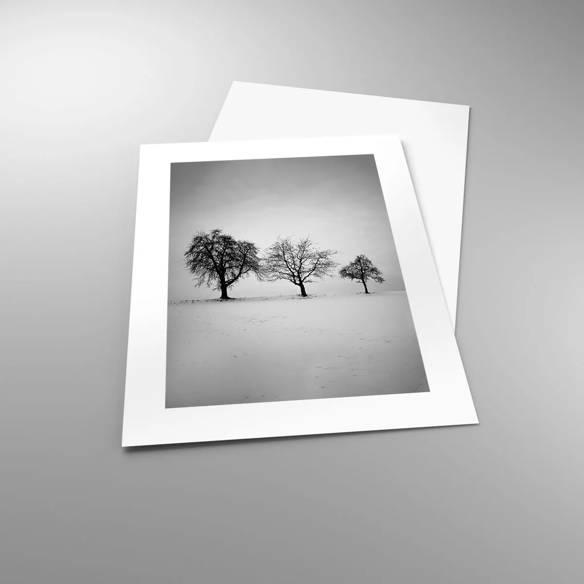 Plakat - O czym śnią? - 30x40 cm