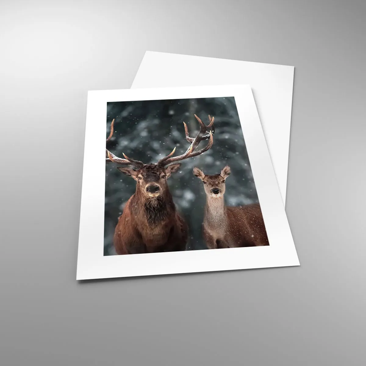 Poszter - Az erdő ura a feleségével - 30x40 cm