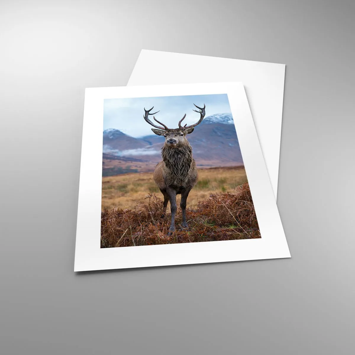 Poster - On Your Own Land - 30x40 cm