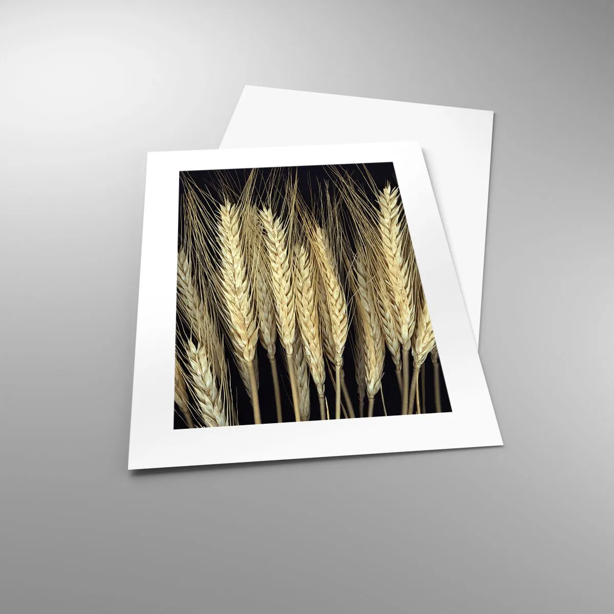 Poster - Rustic Magic - 30x40 cm