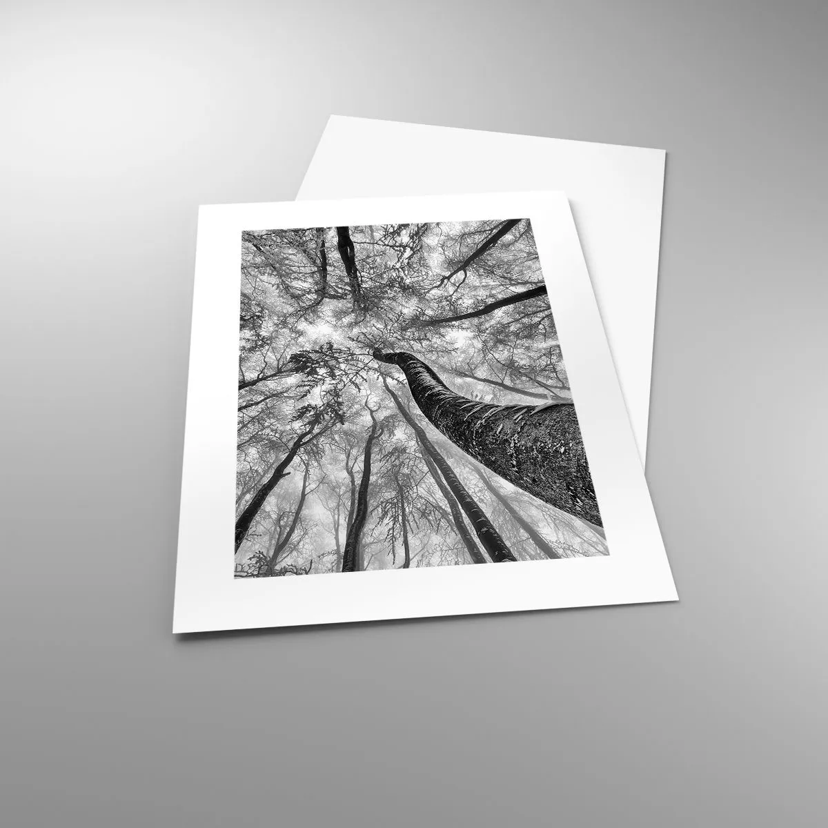 Affiche - Poster - Course vers la lumière - 30x40 cm