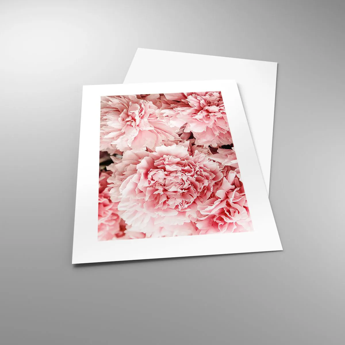 Affisch - Rosa dröm - 30x40 cm