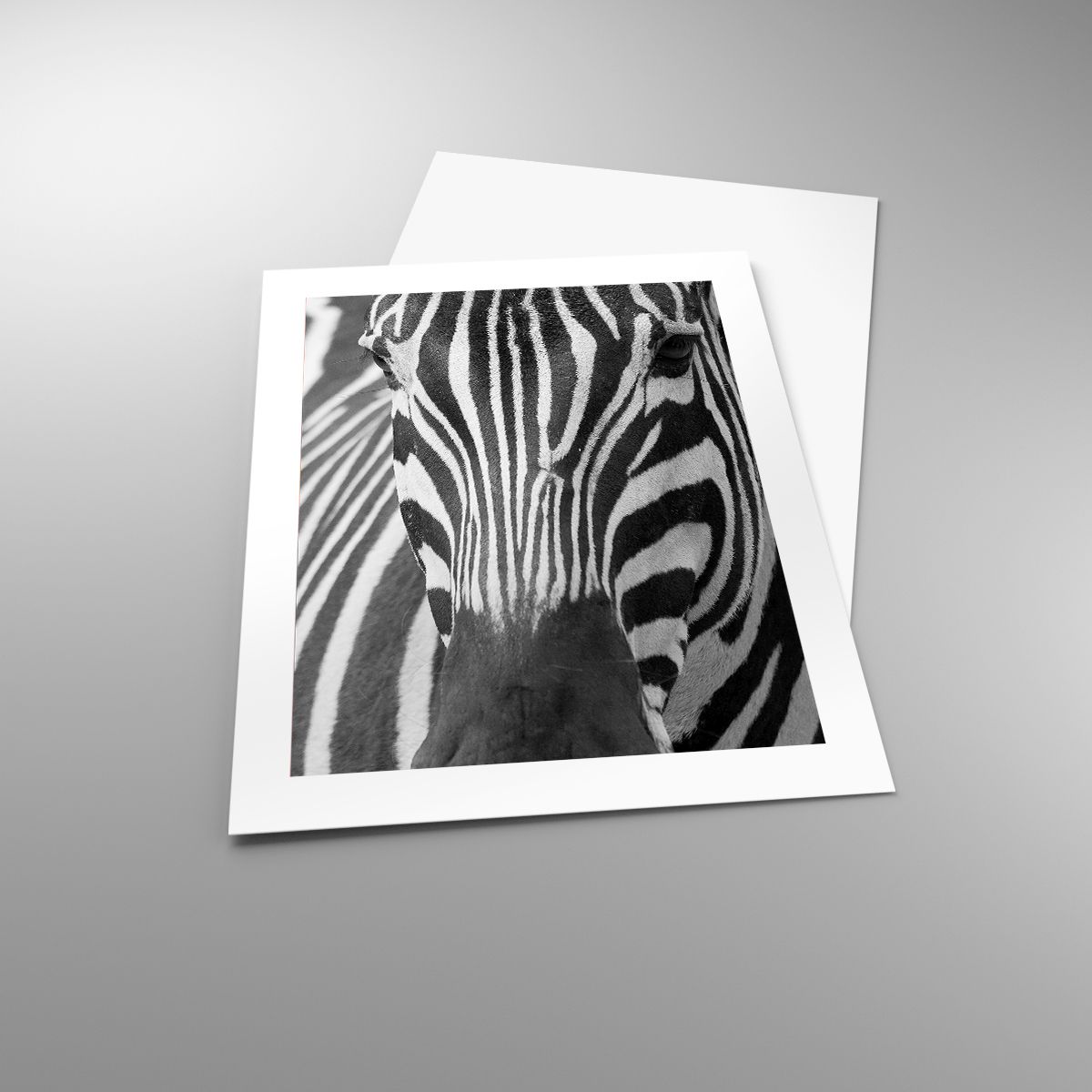 Poster Tiere, Poster Rippen, Poster Schwarz Und Weiß, Poster Afrika, Poster Safari