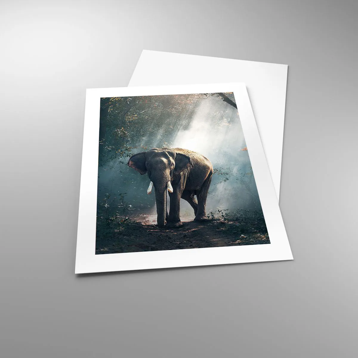 Poszter - Nyugodt séta - 40x50 cm