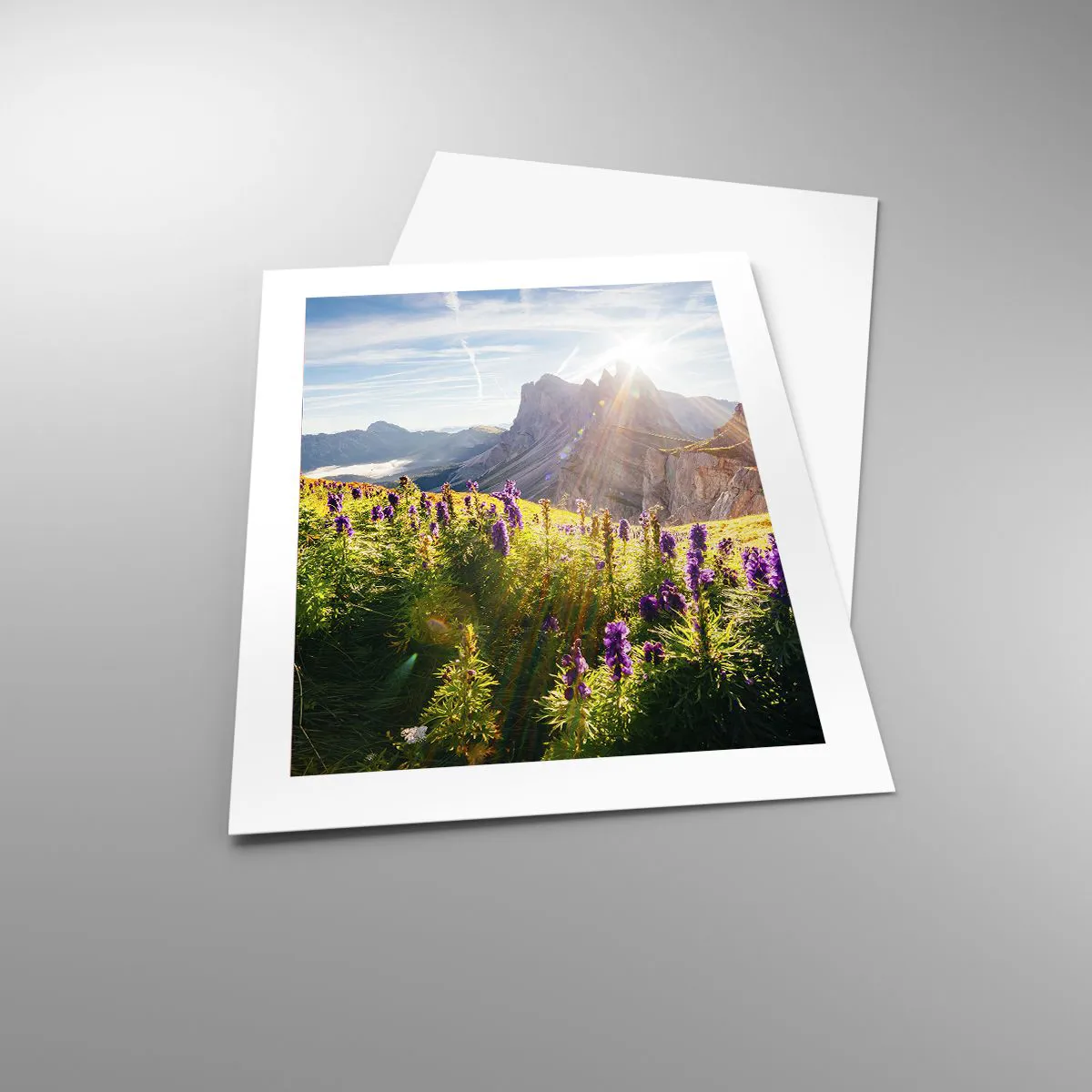 Plakát - Tajemný život bylin - 40x50 cm