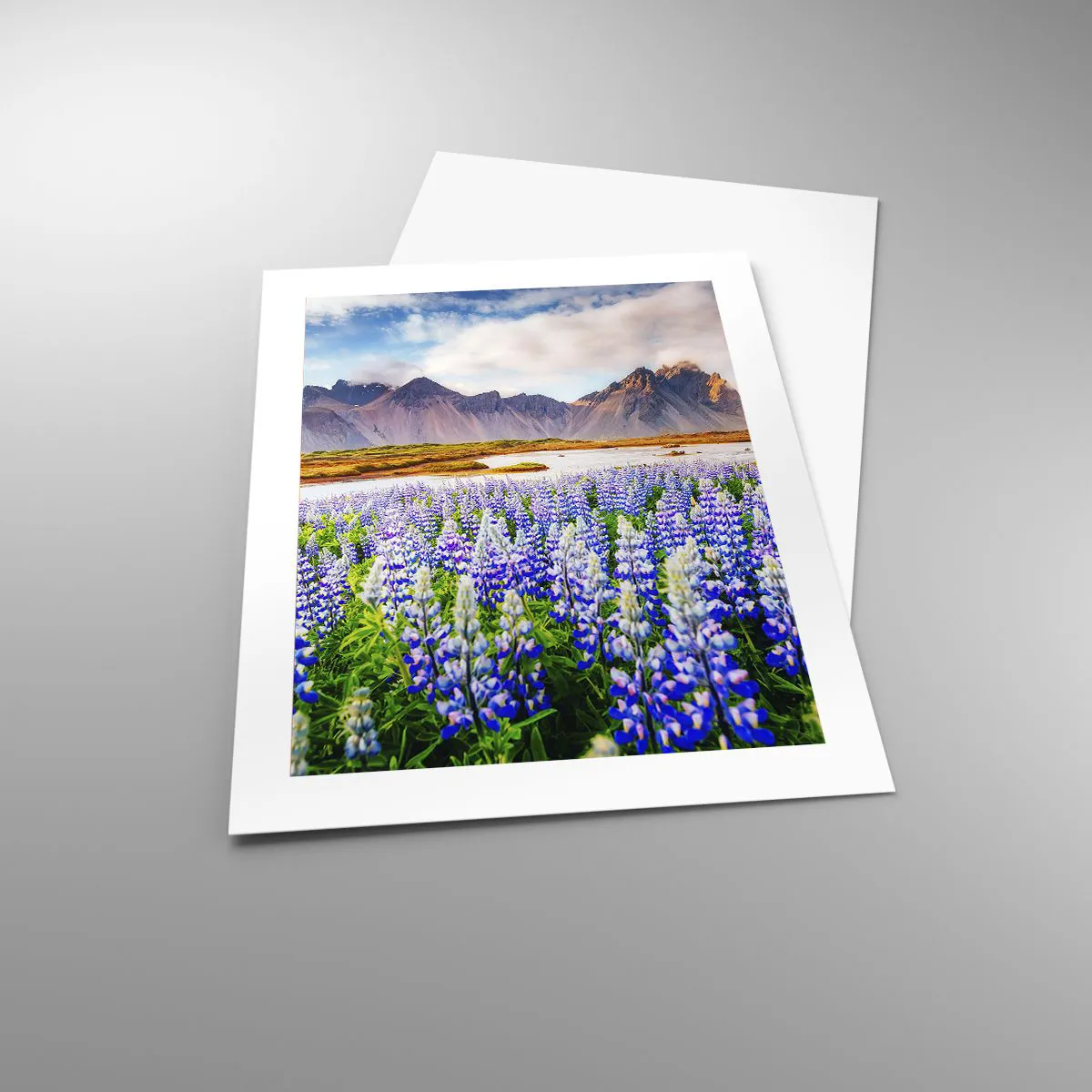 Plakat - Siła i surowość obok łagodności - 40x50 cm