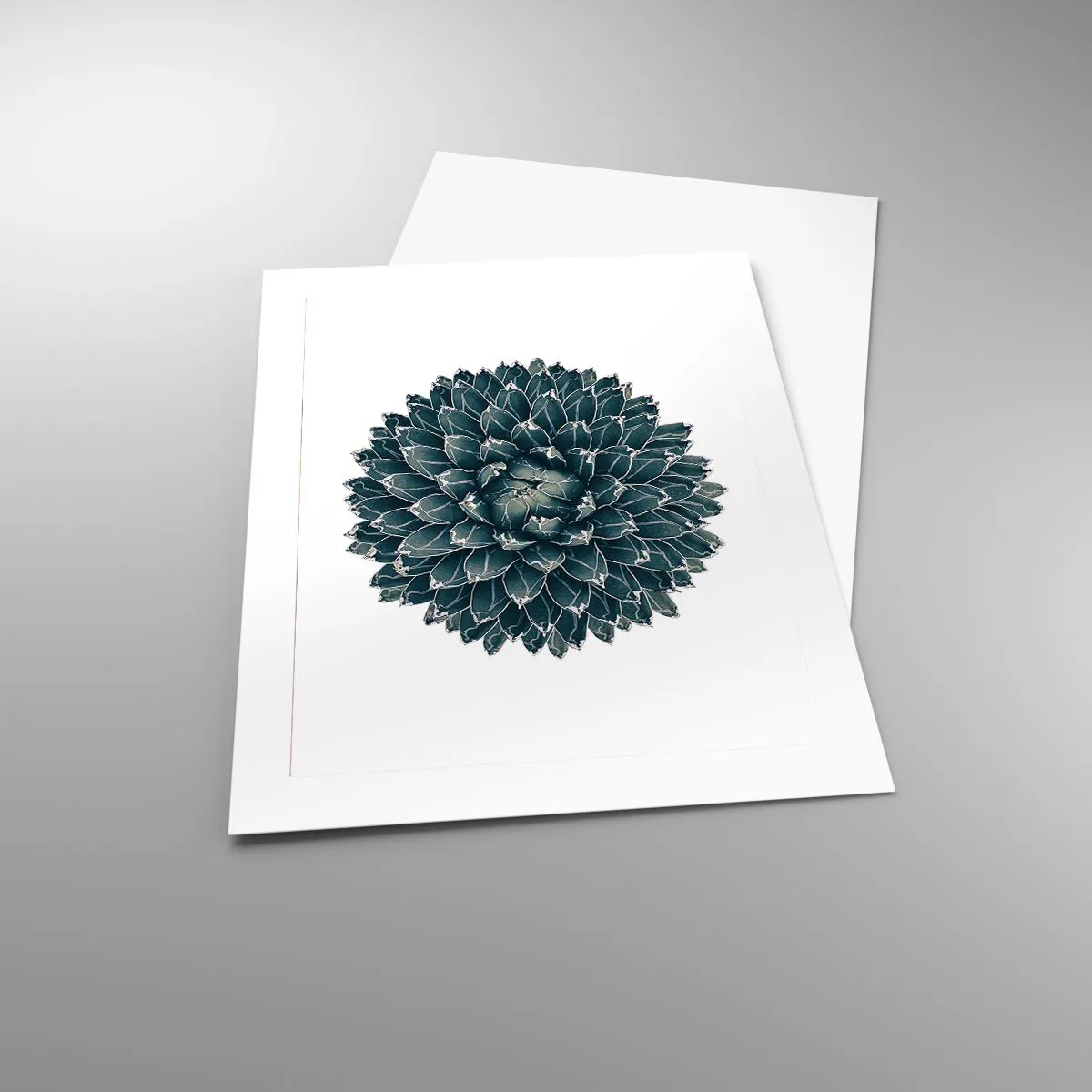 Plakat - Ørkenstjerne - 40x50 cm