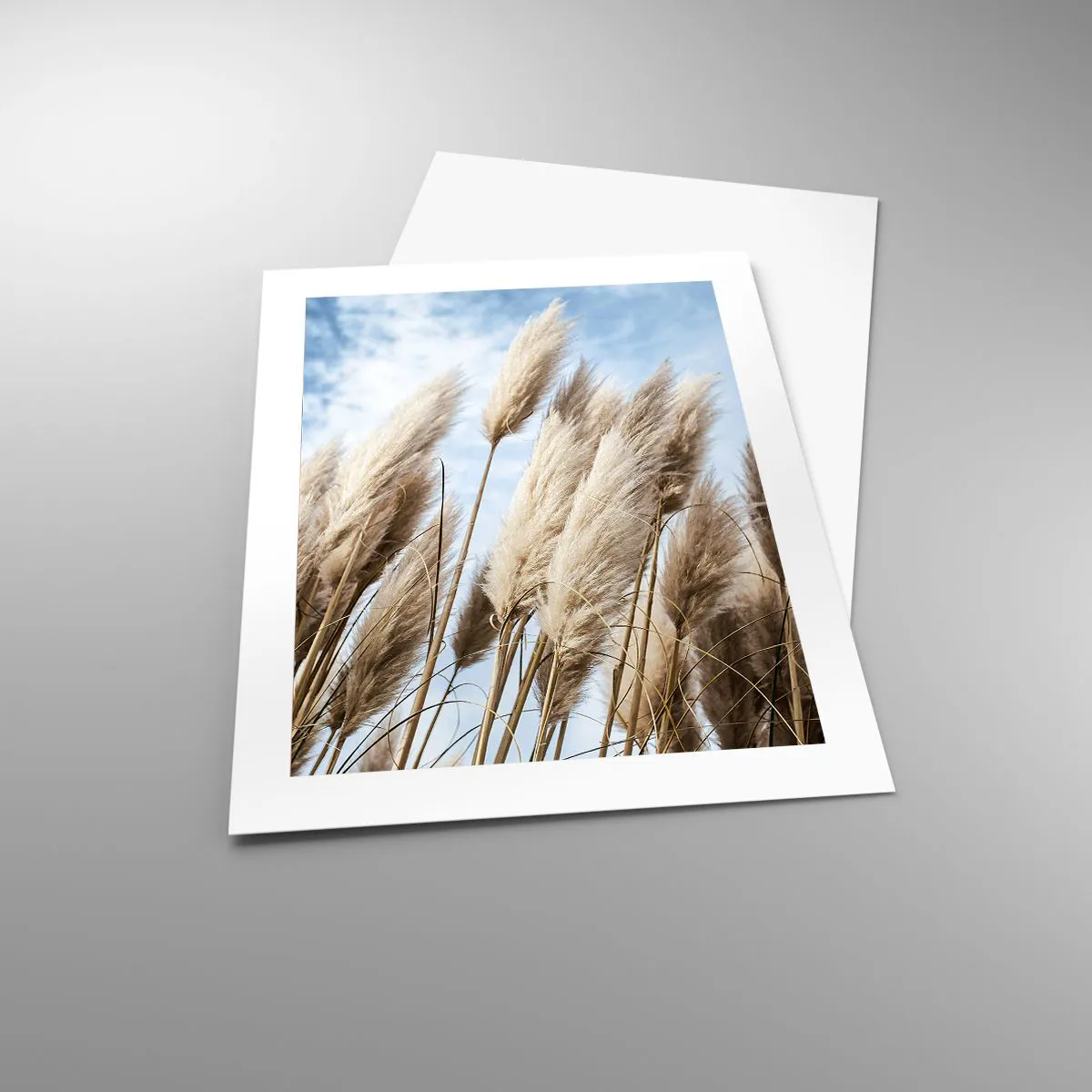 Plakat - Słoneczna i wietrzna pieszczota - 40x50 cm