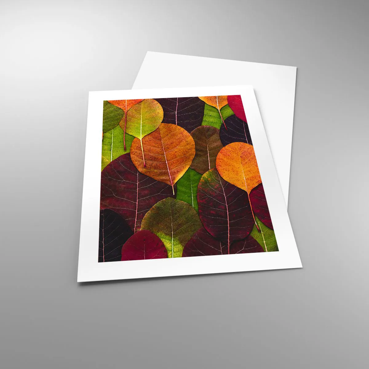 Affiche - Poster - Mozaique printannière - 40x50 cm